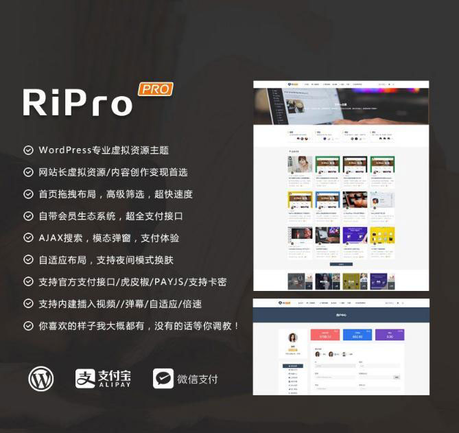 C165 WordPress主题 RiProV4.3.0破解去授权无限制版本