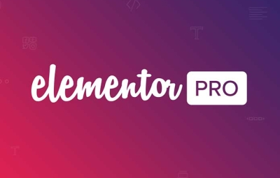 M976 WordPress《可视化编辑》插件elementor pro 专业版 中文破解汉化版 V2.10.0