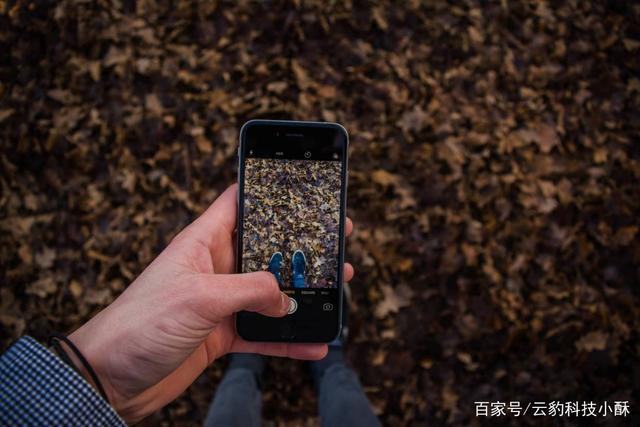 自动草稿 自动草稿