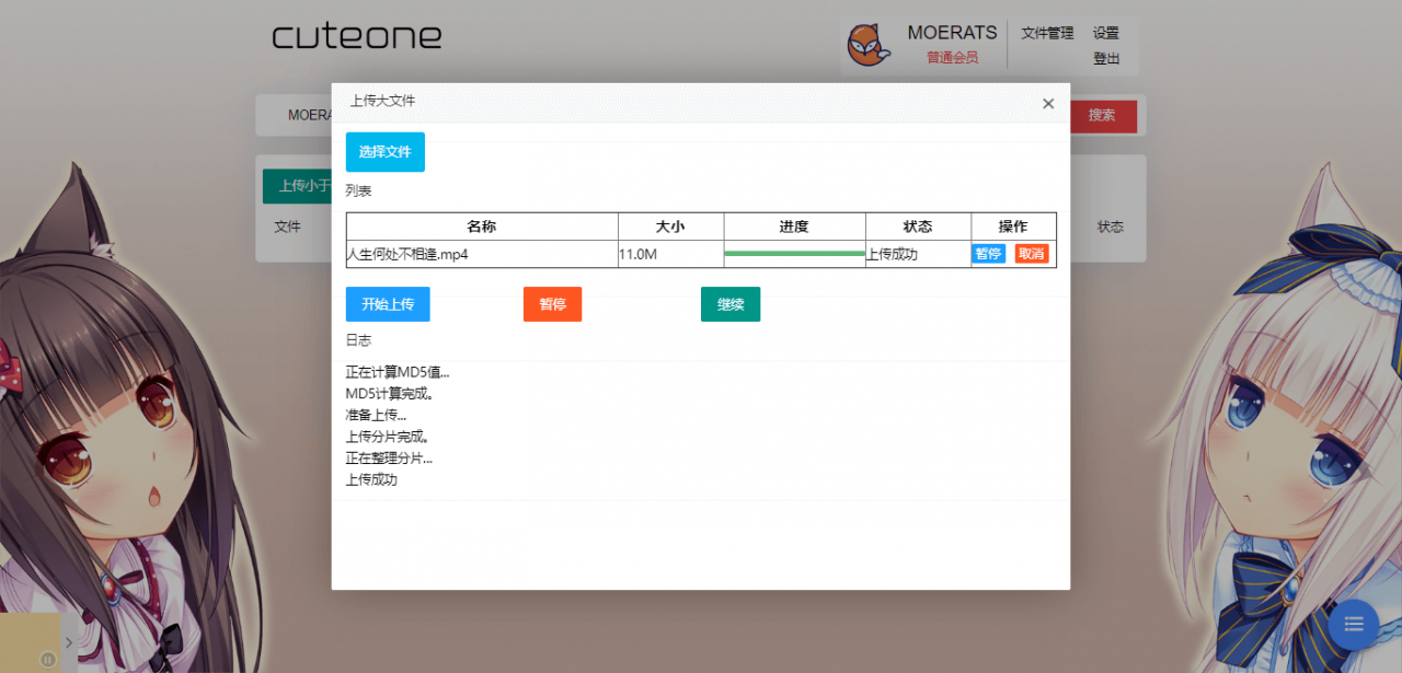 C1327 一款基于Python3的OneDrive多网盘挂载程序，带会员/同步等功能