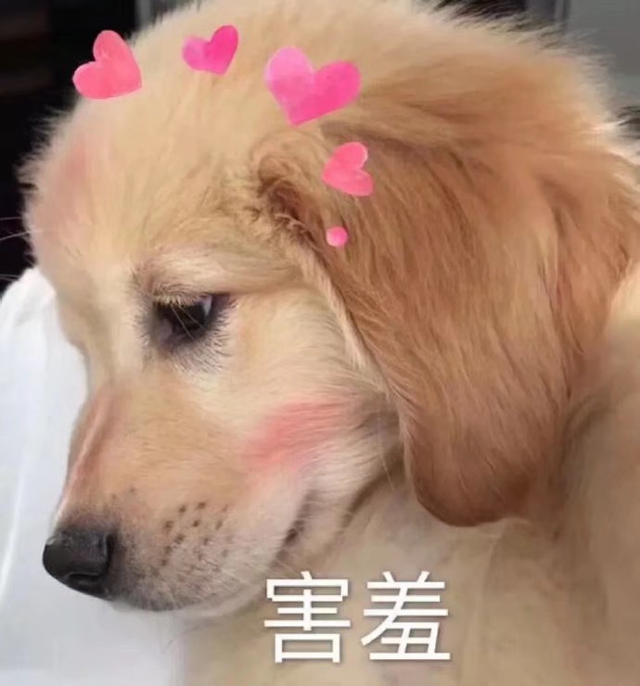 自动草稿 自动草稿