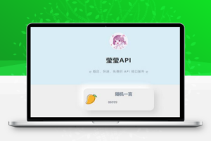 M1162 莹莹API管理系统源码附带两套模板