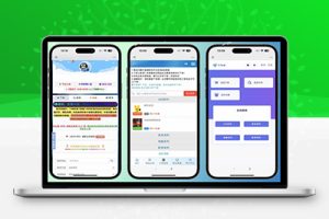 M1529 高级版彩虹发卡在线自动平台系统 已去授权