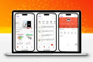 M1543 B2C的单用户电商系统 B2C外贸在线购物商城源码